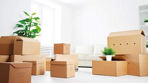 Mudanza casa salon cajas planta blanco casa